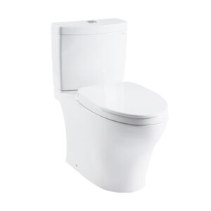 TOTO CW769CTW 分離式馬桶